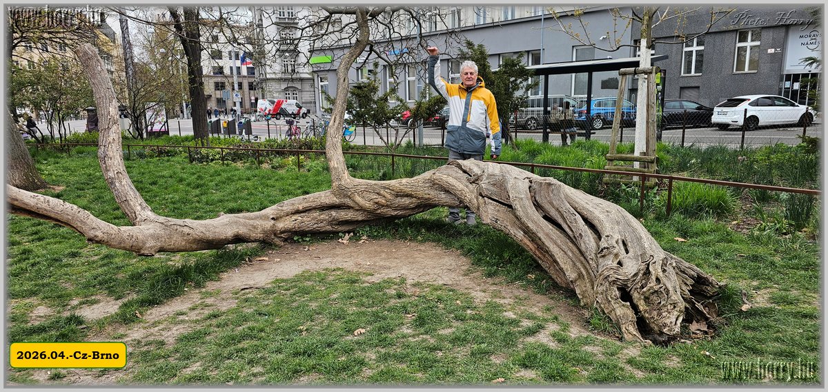2026.04.-Cz-Brno-014.jpg