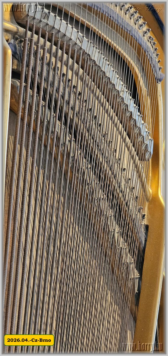 2026.04.-Cz-Brno-106.jpg