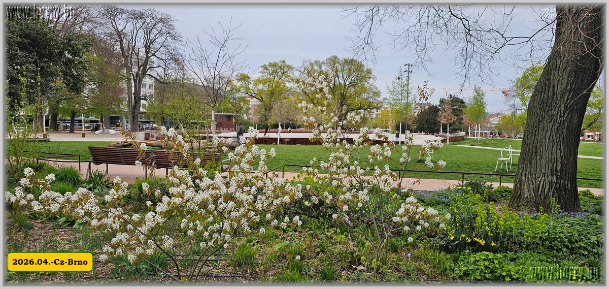 2026.04.-Cz-Brno-122.jpg