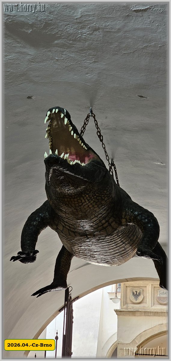 2026.04.-Cz-Brno-170.jpg