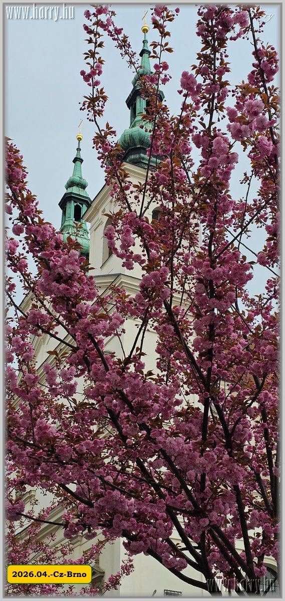 2026.04.-Cz-Brno-181.jpg