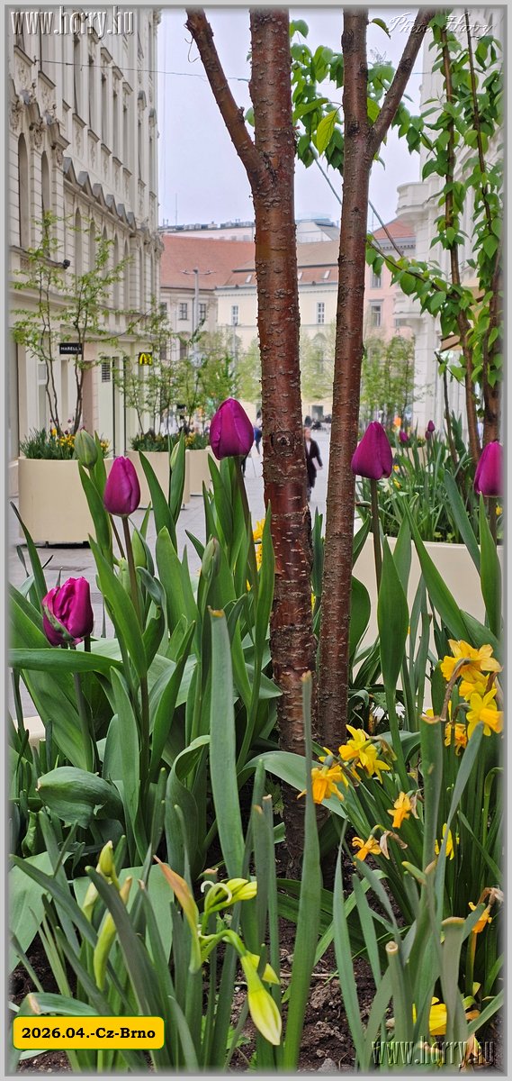 2026.04.-Cz-Brno-185.jpg