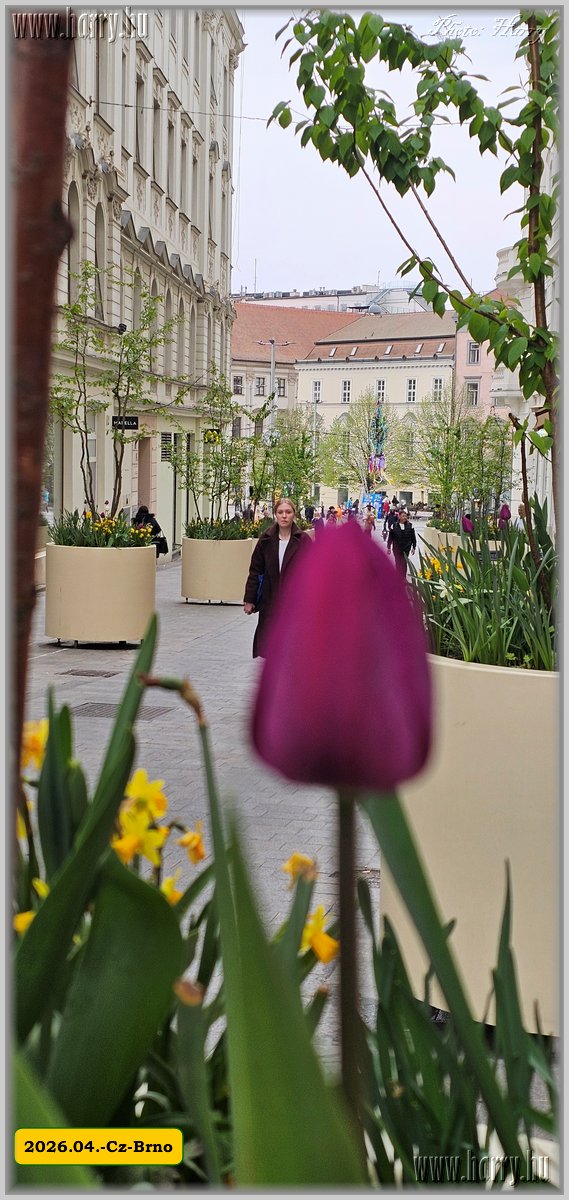 2026.04.-Cz-Brno-186.jpg
