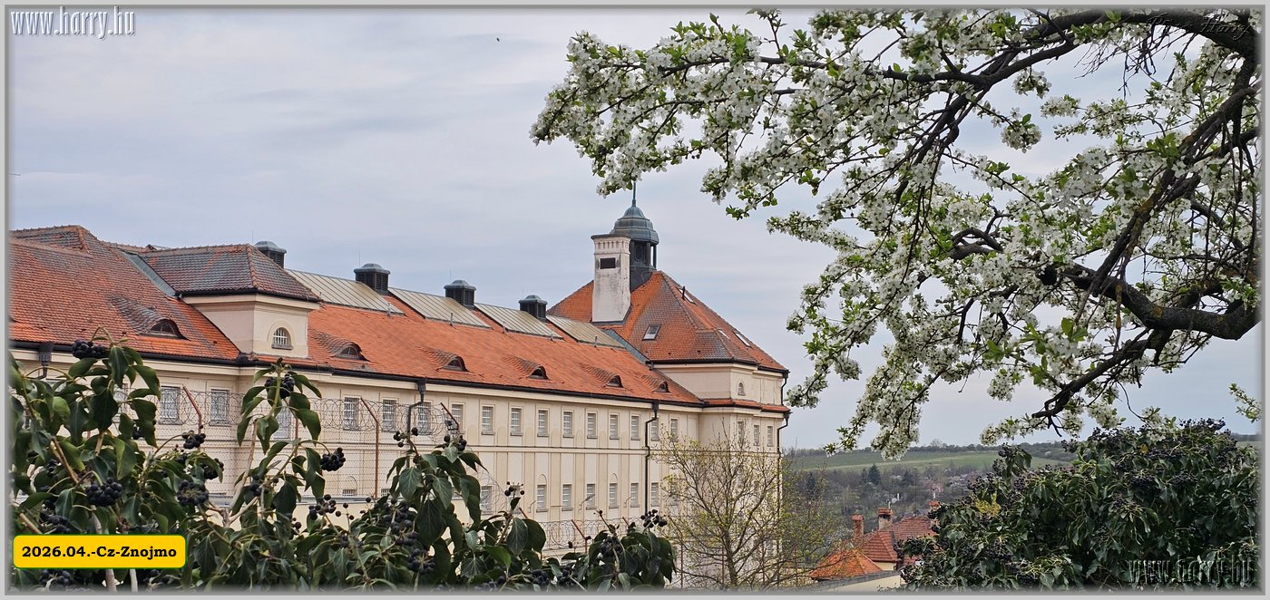 2026.04.-Cz-Znojmo-030.jpg