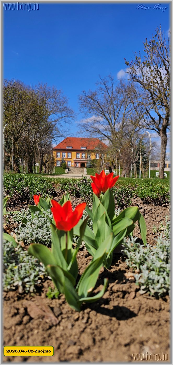 2026.04.-Cz-Znojmo-085.jpg