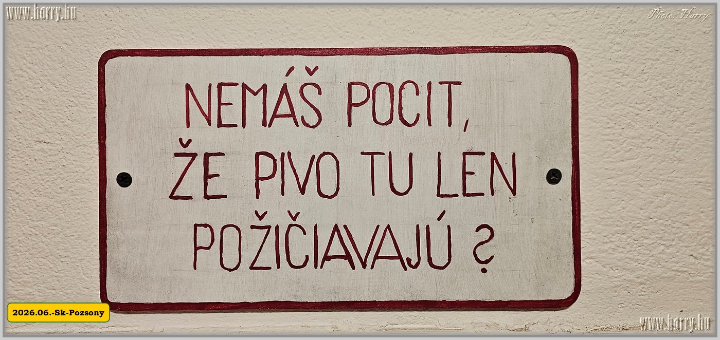 2026.06.-Sk-Pozsony-118.jpg
